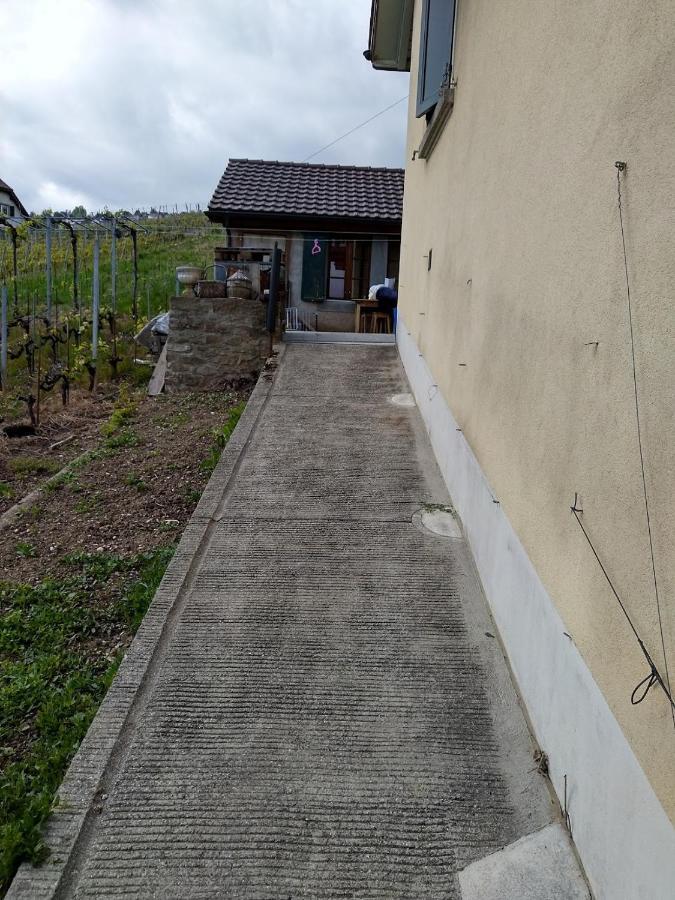 Charmante Maison Au Coeur Du Lavaux, Cully, Cuisine, Wifi, Les Echalas ภายนอก รูปภาพ